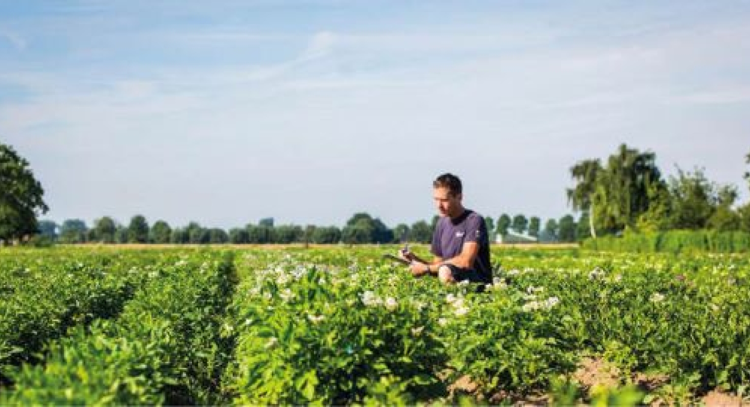 In de landbouw en glastuinbouw worden tegenwoordig minder gevaarlijke stoffen gebruikt. Bij het gebruik van gevaarlijke stoffen is het belangrijk dat werkgevers en werknemers hun verantwoordelijkheden voor een veilige werkplek kennen.