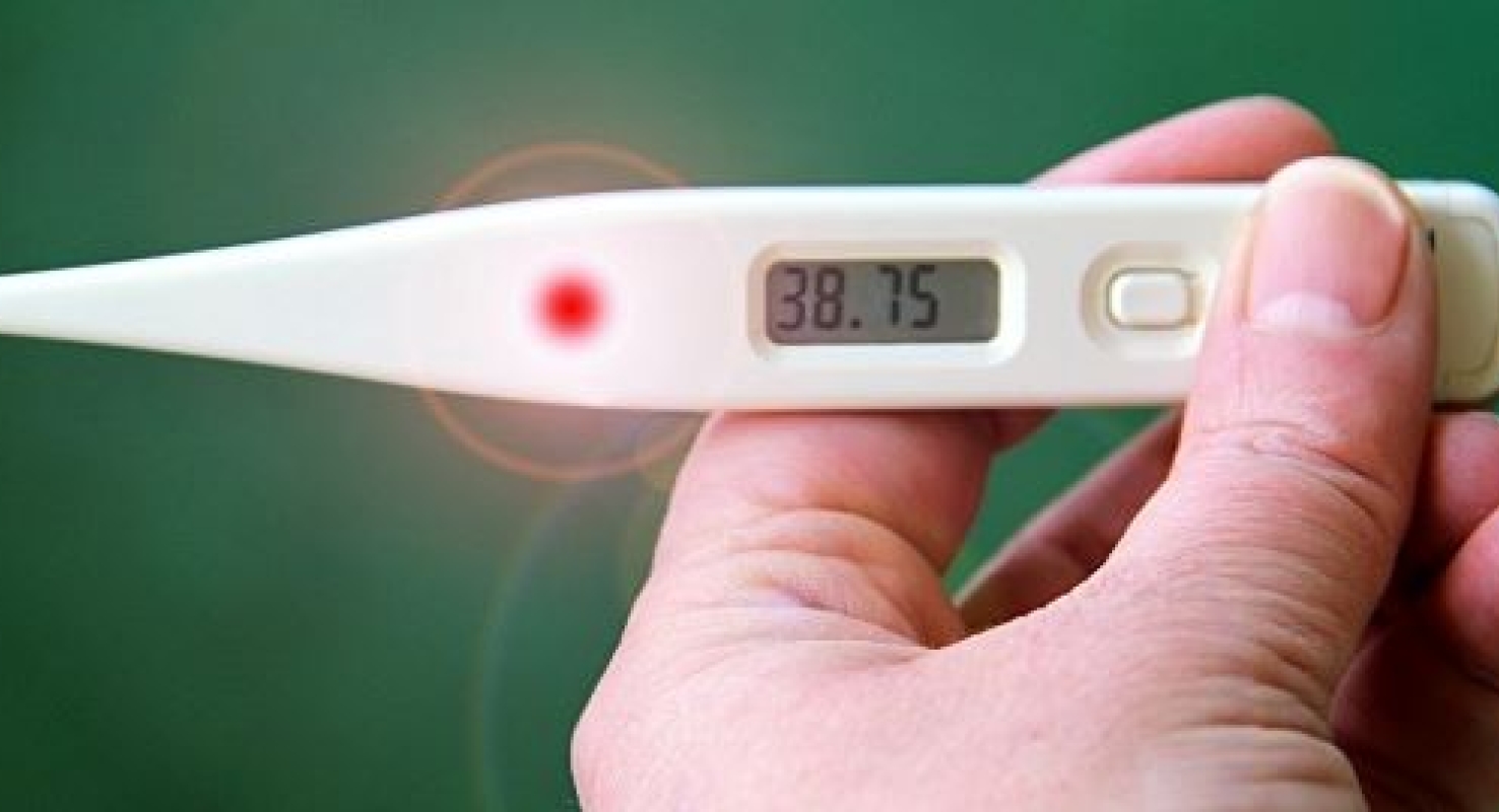 . Nog steeds werd griep of verkoudheid het vaakst genoemd als de oorzaak voor het laatste verzuimgeval.