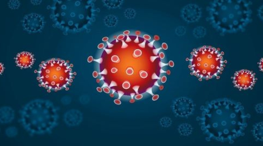 Met een nieuw verslag waarin de bevindingen van een groot EU-OSHA-project worden samengevat, wordt gestreefd meer bekendheid te geven aan de blootstelling aan biologische agentia op de werkplek.