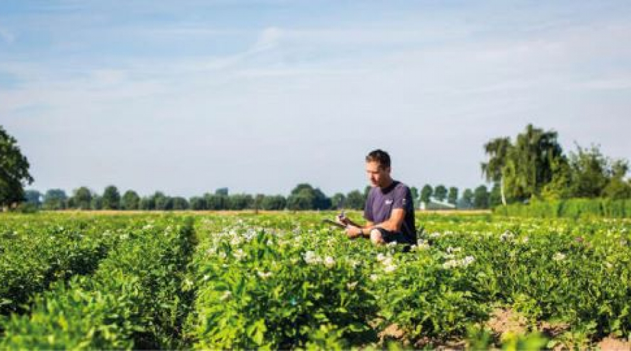 Onder de slachtoffers bevinden zich veel arbeidsmigranten die onder andere voor een tijdelijke woonplek afhankelijk zijn van hun werkgever.